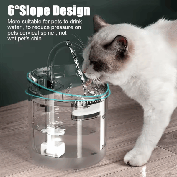 fontaine à eau pour animaux hydratation saine et continue