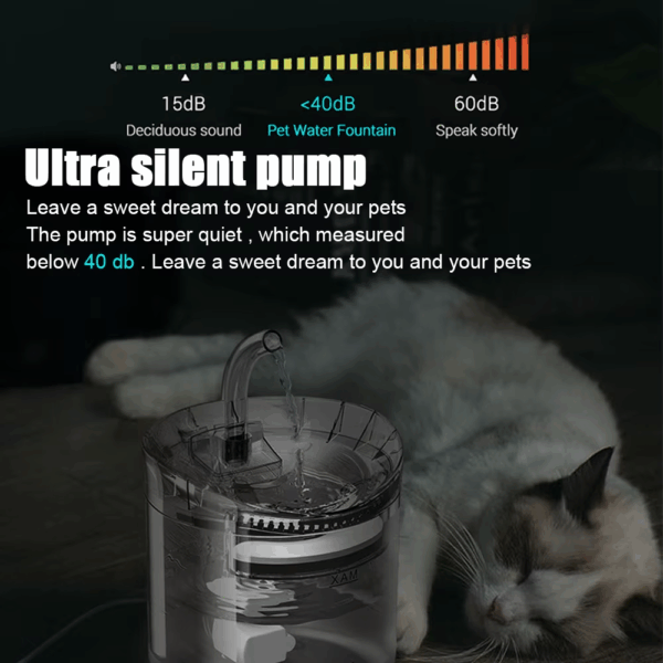 fontaine à eau pour animaux hydratation saine et continue